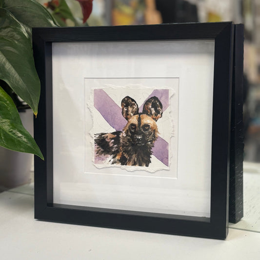 Wilddog in watercolour
