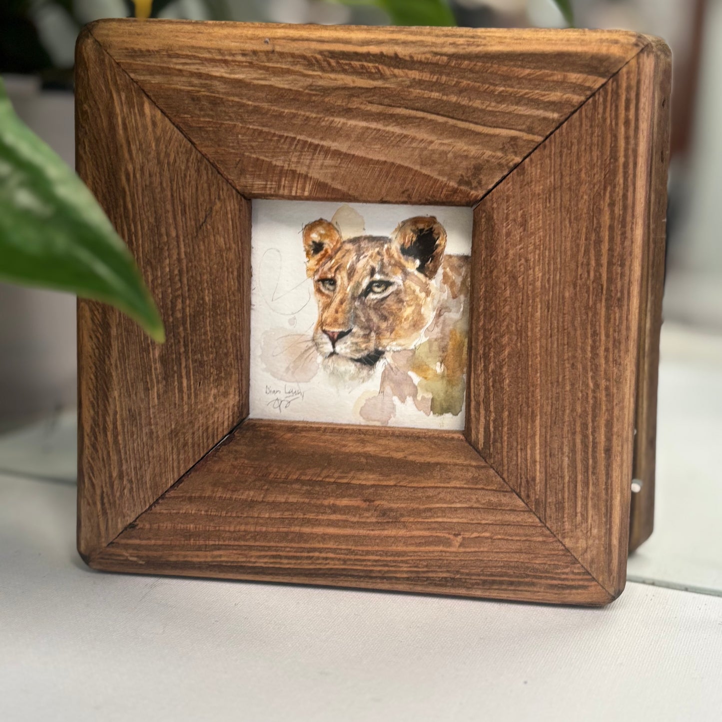 Lioness miniature watercolour