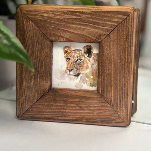 Lioness miniature watercolour