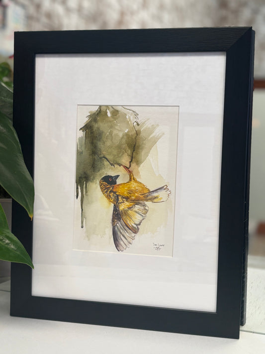 Semi-abstract weaver watercolour