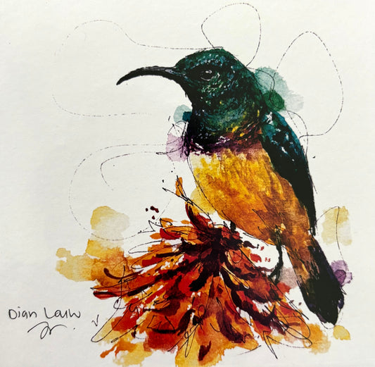 Purple-rumped Sunbird