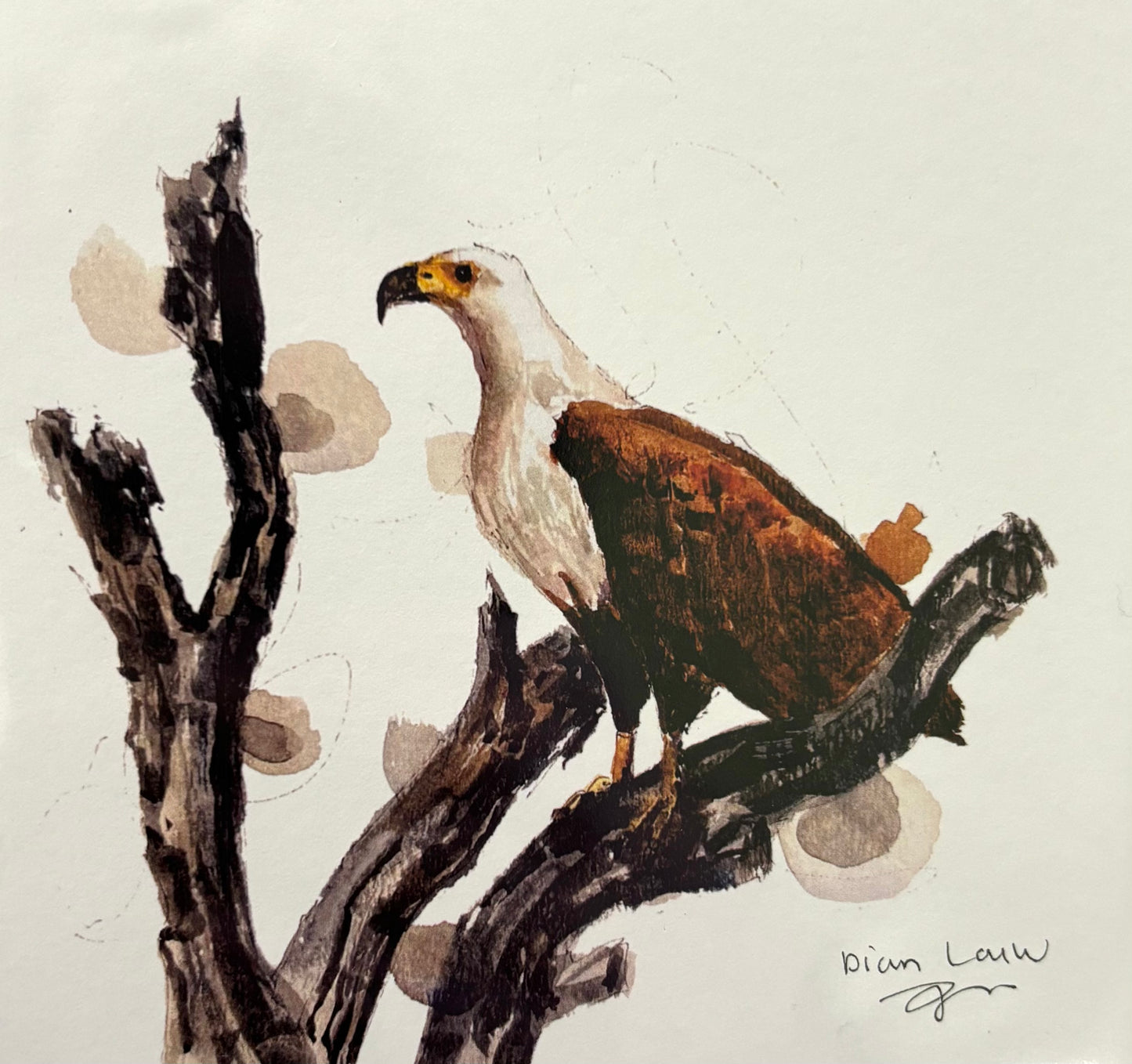 Fish eagle in a branch