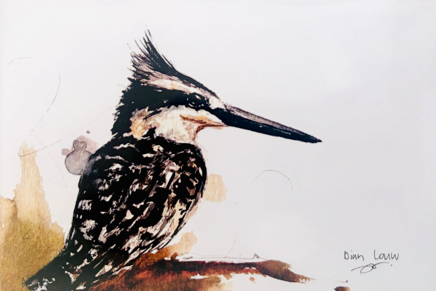 Pied kingfisher #3