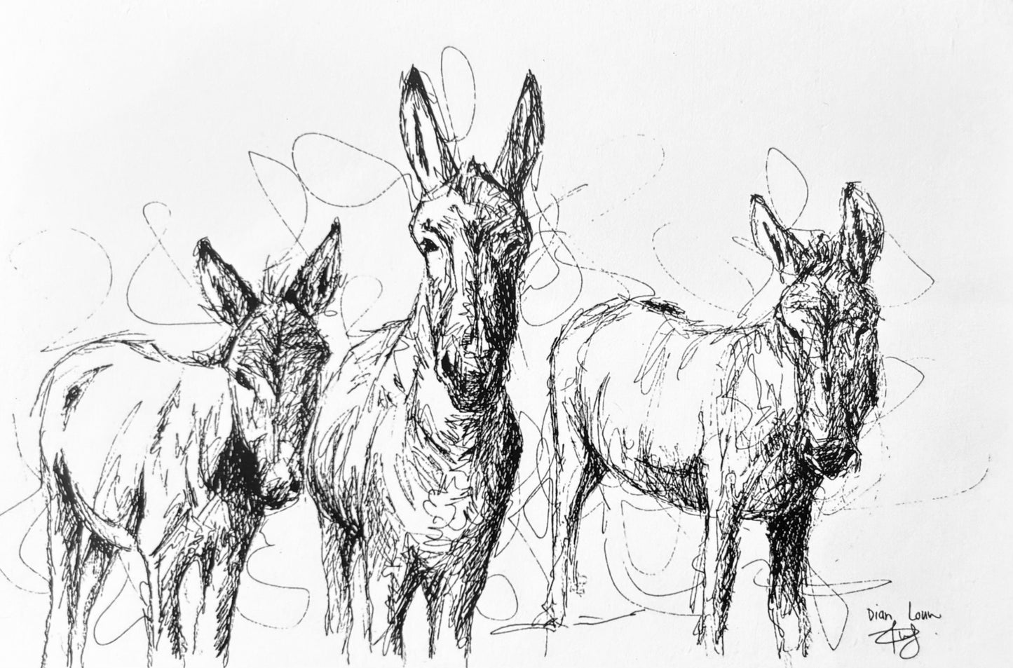 Three donkeys black & white pen sketch