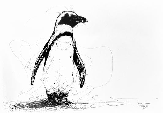 African Penguin, black & white pen sketch