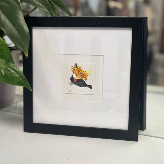 Miniature Scarlet-chested Sunbird