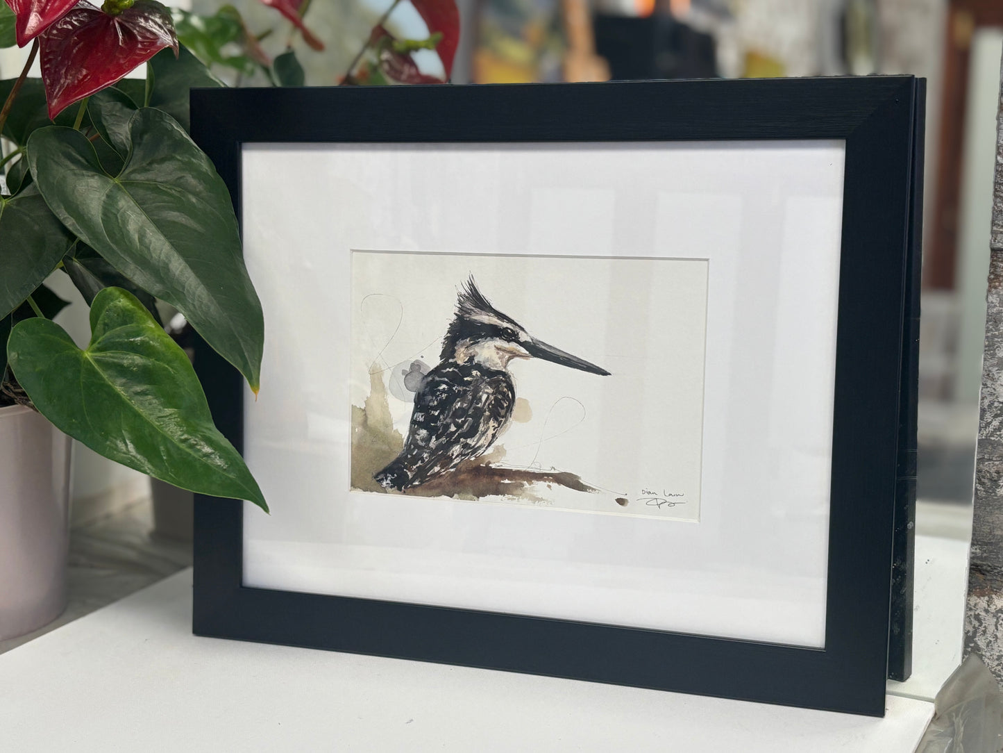 Pied Kingfisher watercolour