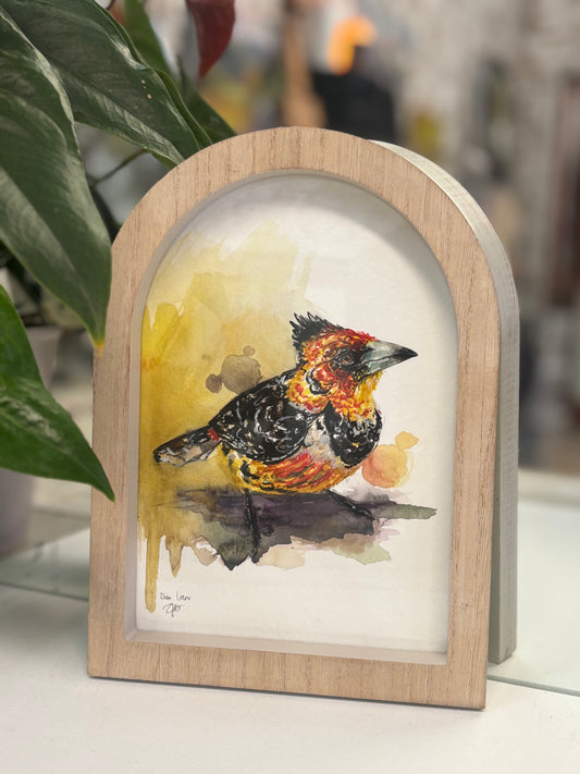 Crested barbet in watercolour
