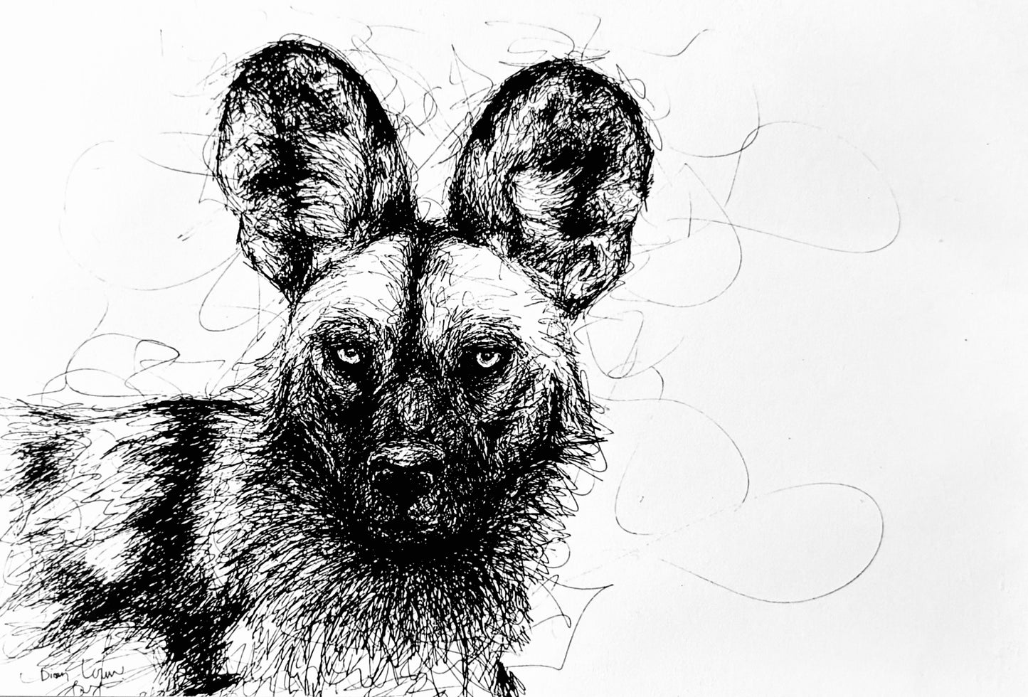 Wild dog #1, black & white pen sketch