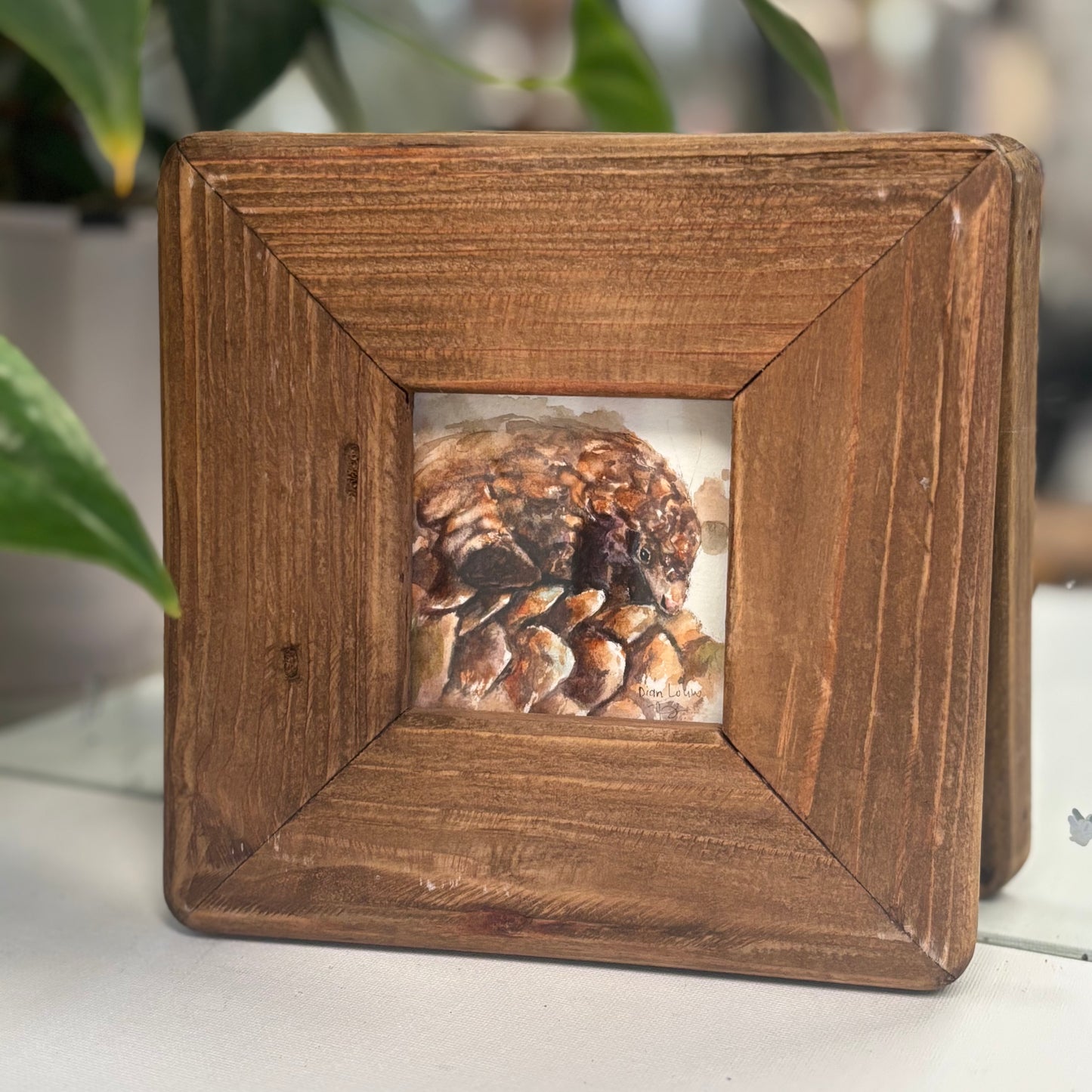 Pangolin miniature watercolour