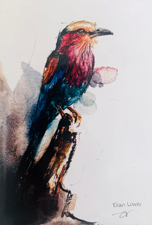 Lilac-breasted Roller #5