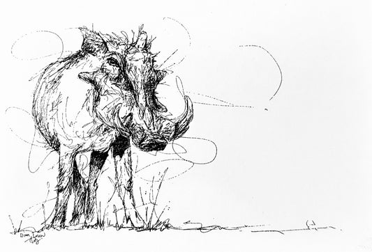 Warthog, black & white pen sketch