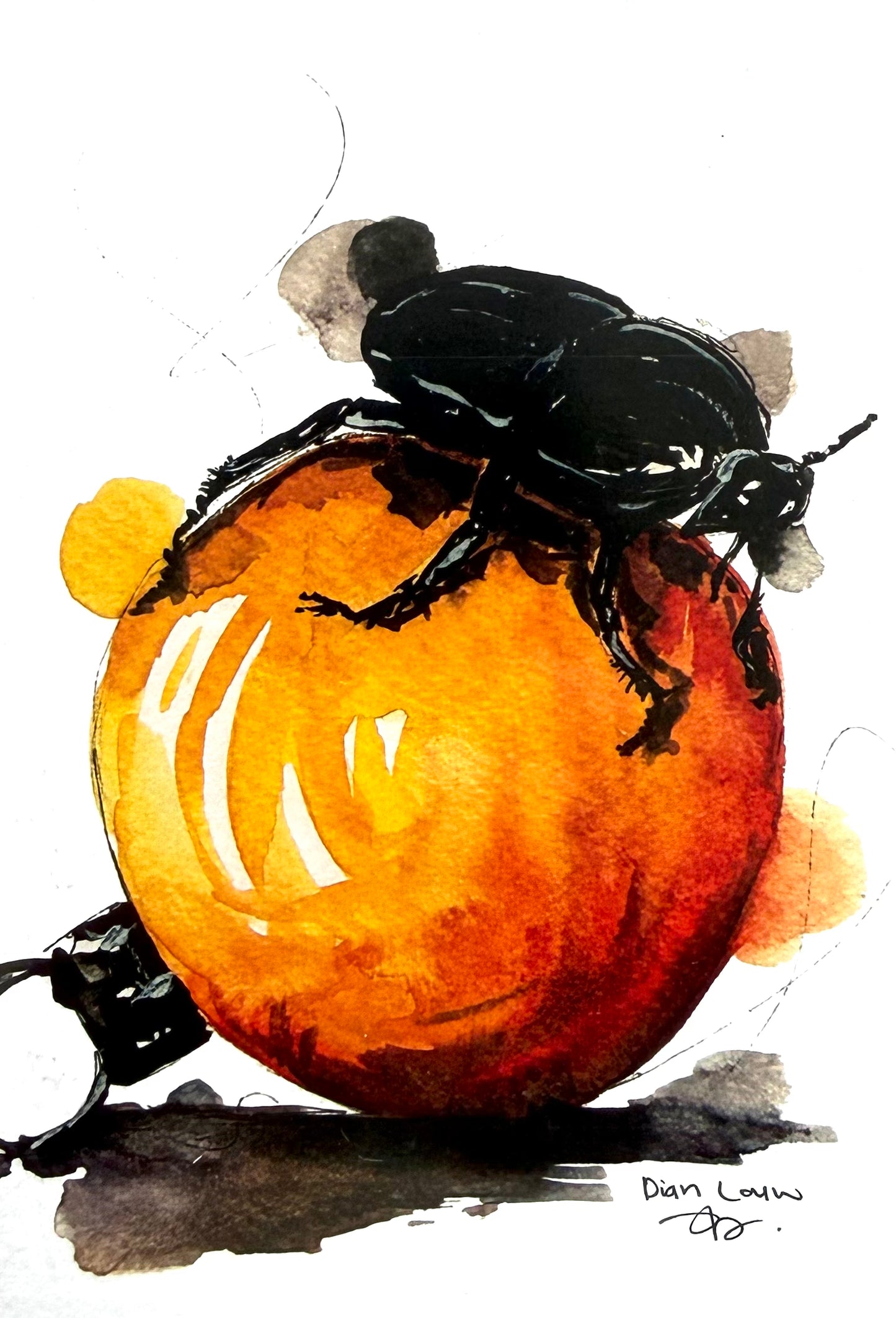 Christmas dung-beetle (yellow)