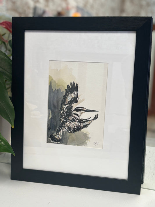 Pied kingfisher flying watercolour