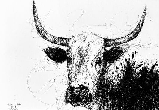 Nuguni black & white pen sketch