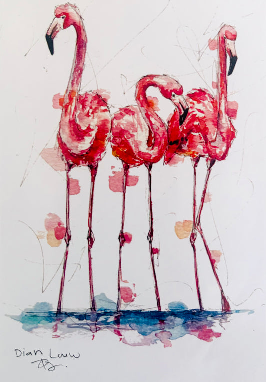 Flamingos