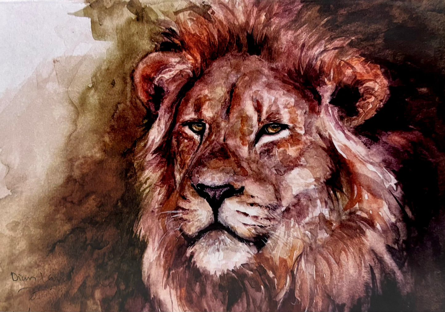 Male lion