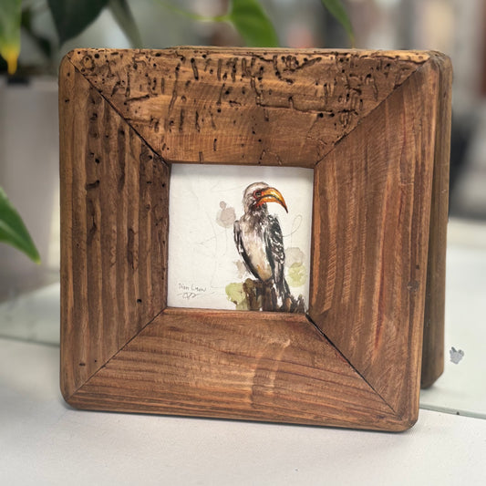 Yellow-billed Hornbill miniature watercolour