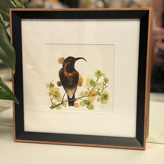 Amethyst sunbird in watercolour