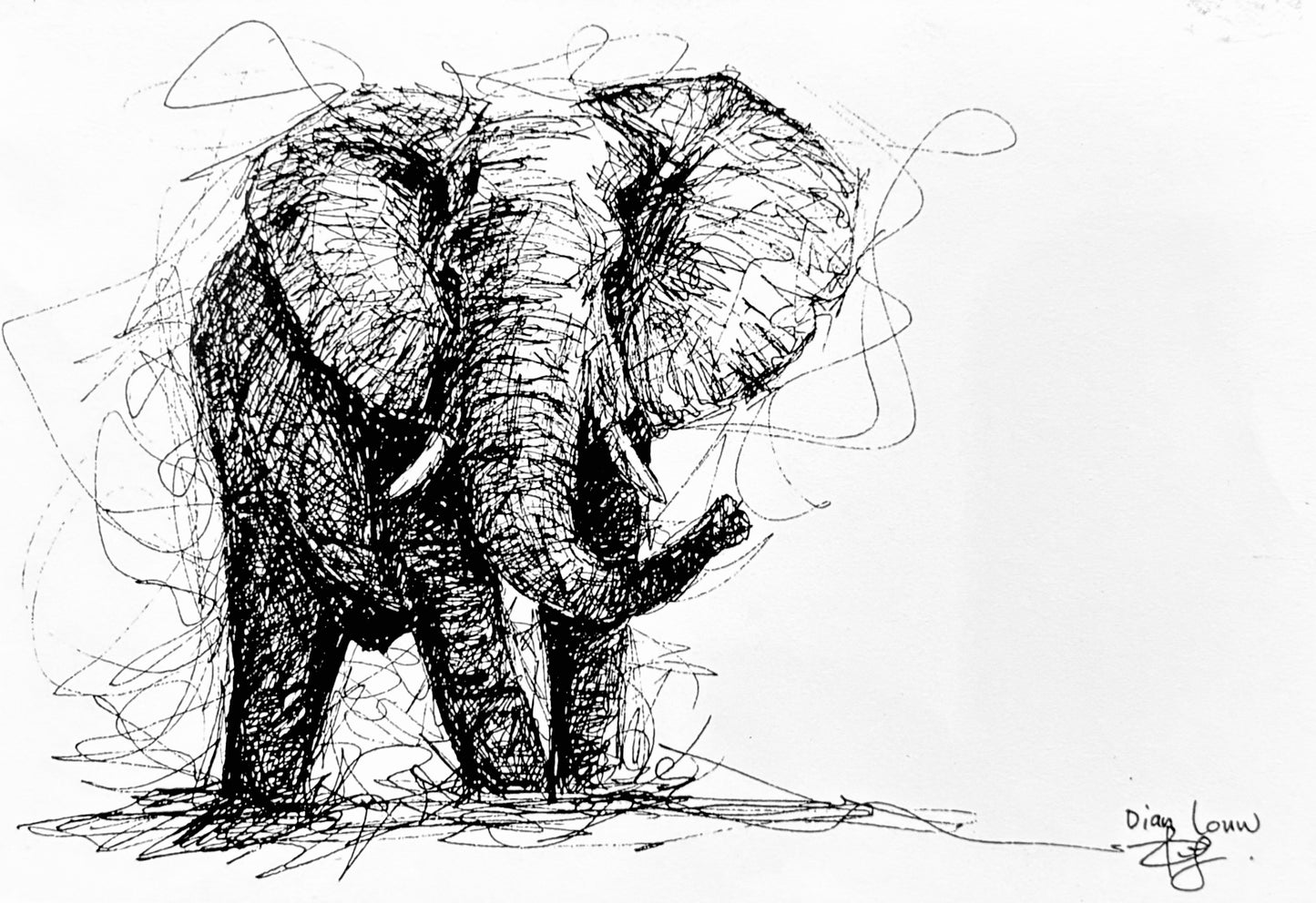 Elephant #4, black & white pen sketch