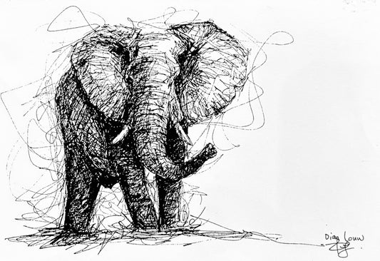 Elephant #4, black & white pen sketch