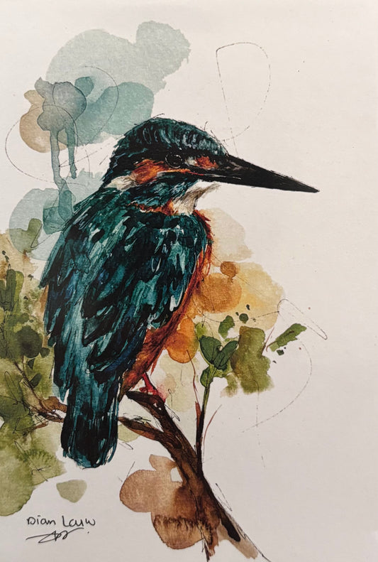 Kingfisher #5