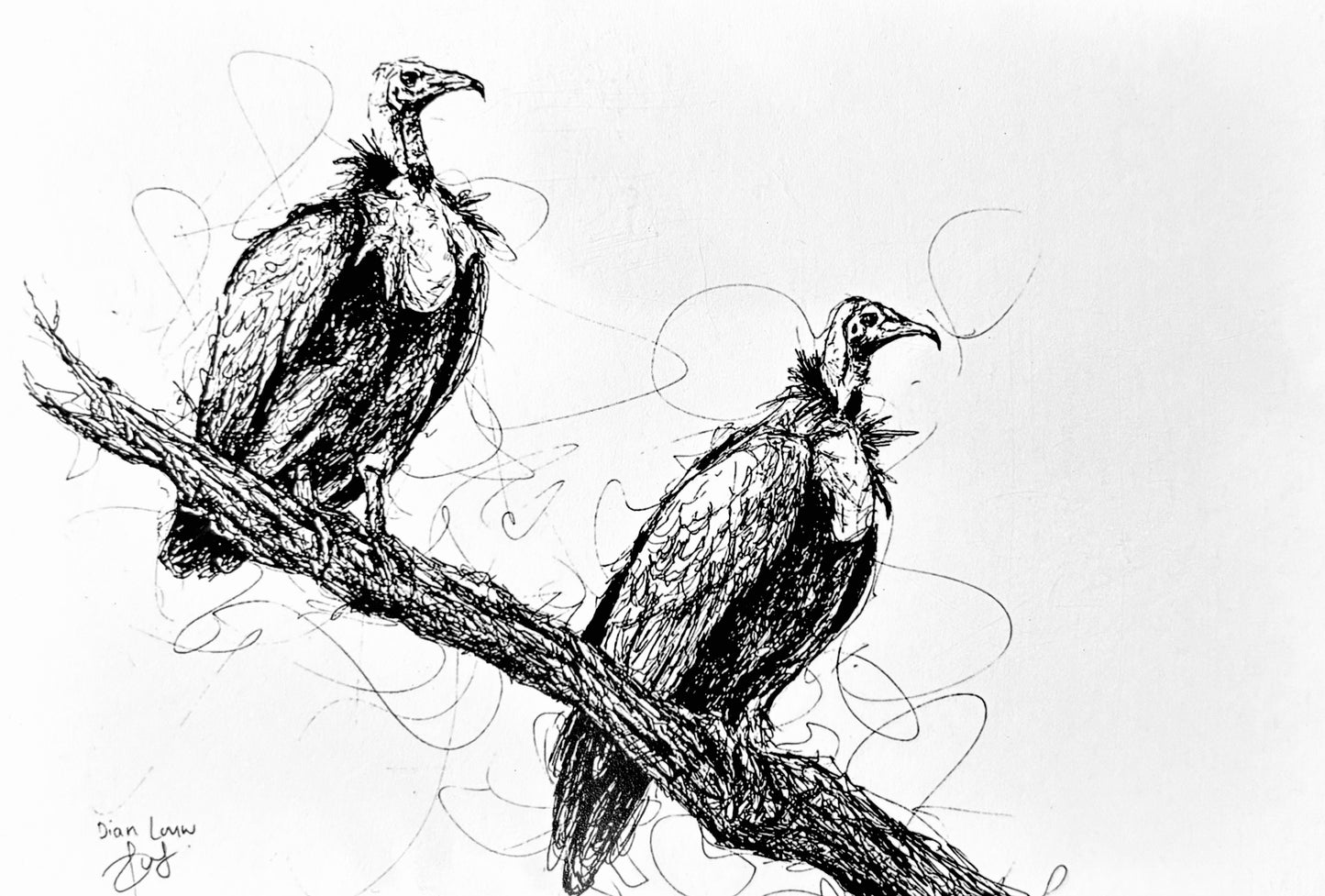 Vultures black & white pen sketch