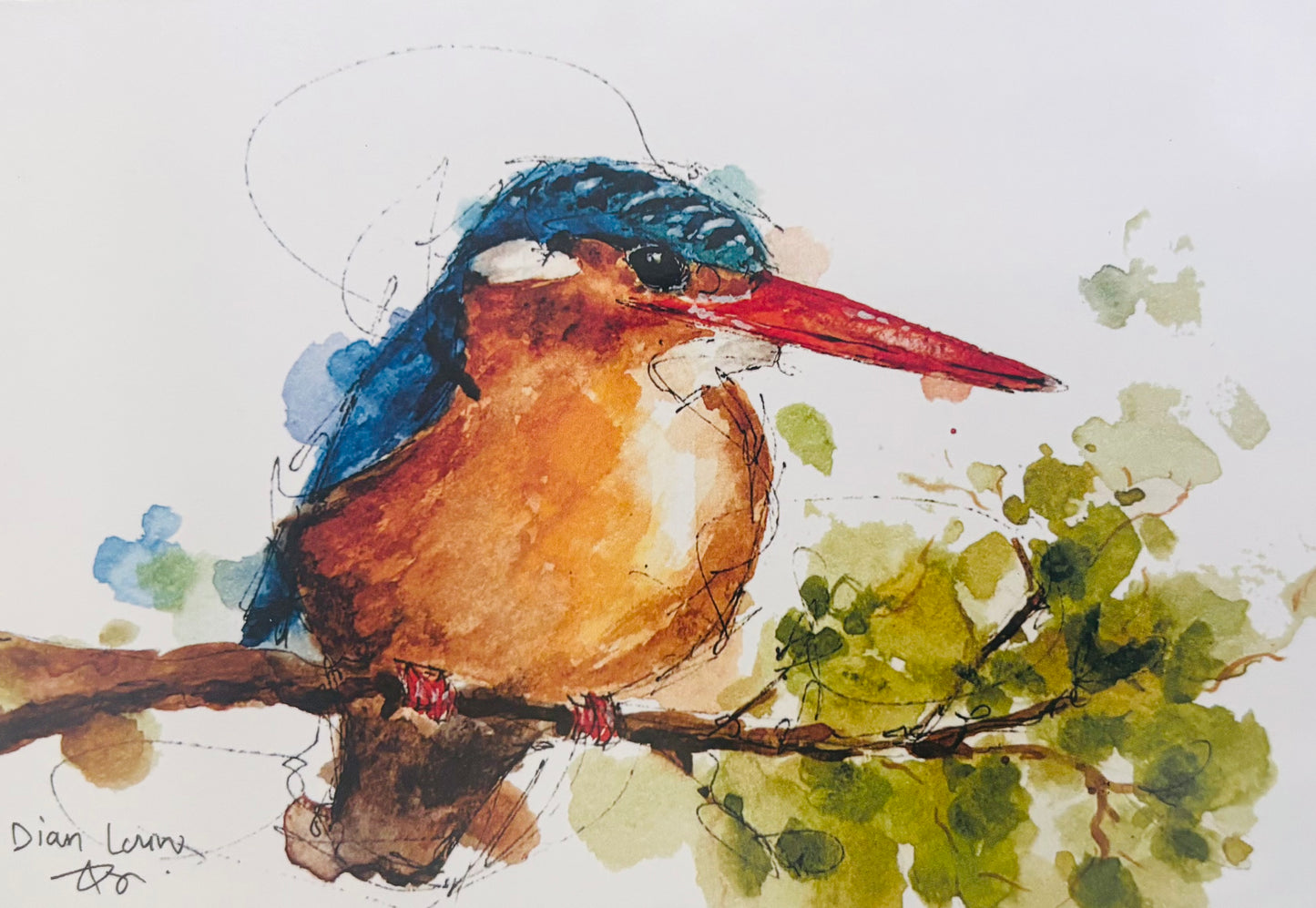 Kingfisher on branch