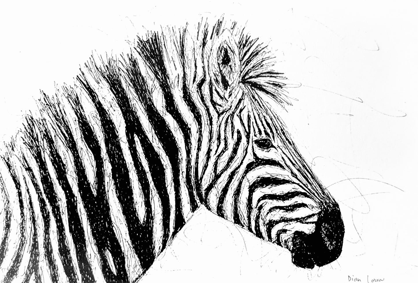 Zebra side profile, black & white pen sketch
