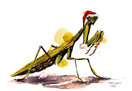 Christmas praying mantis