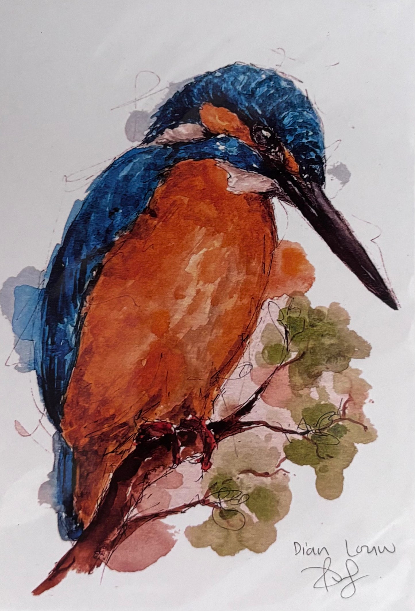 Kingfisher #11