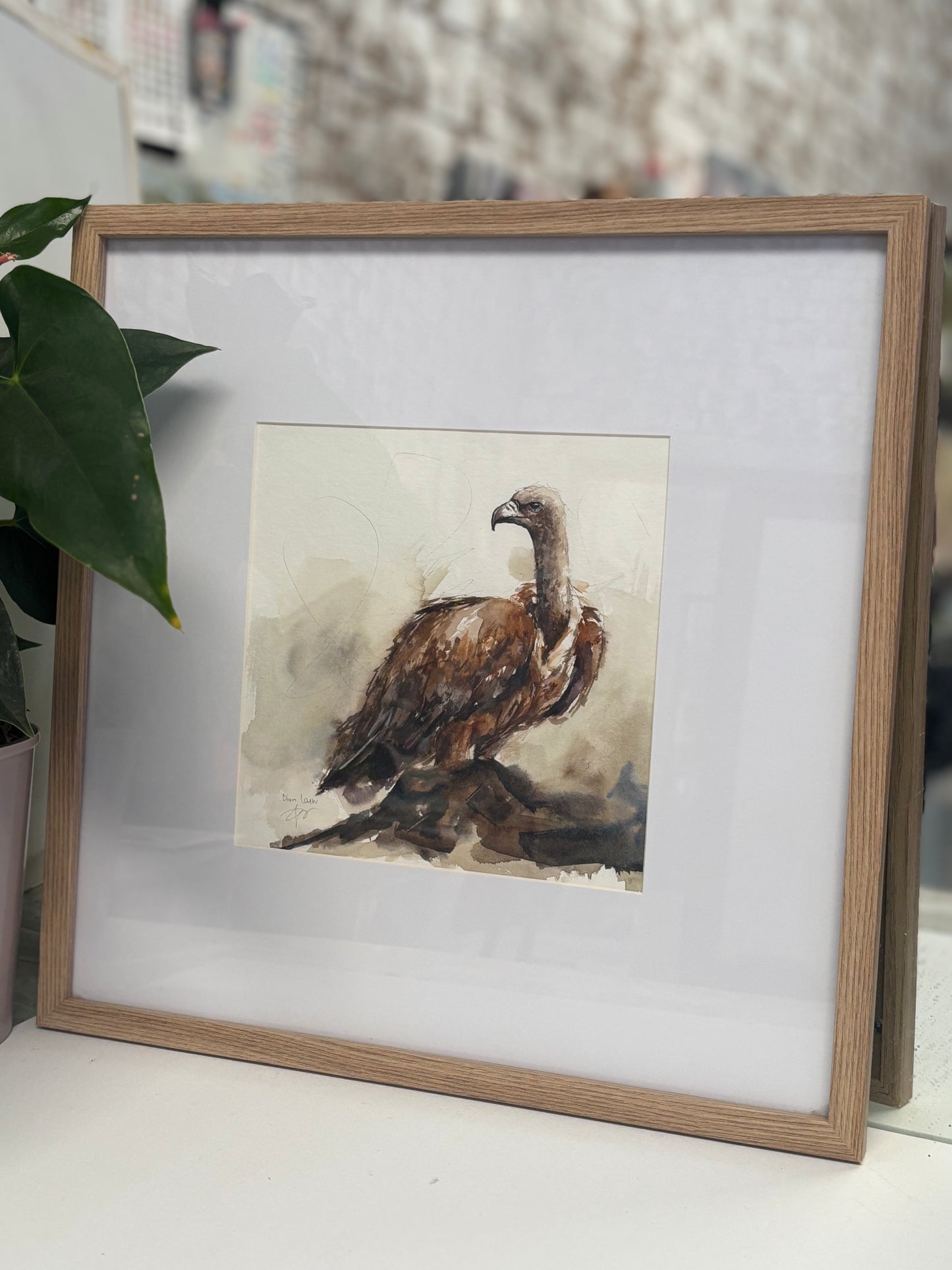 Vulture in watercolour