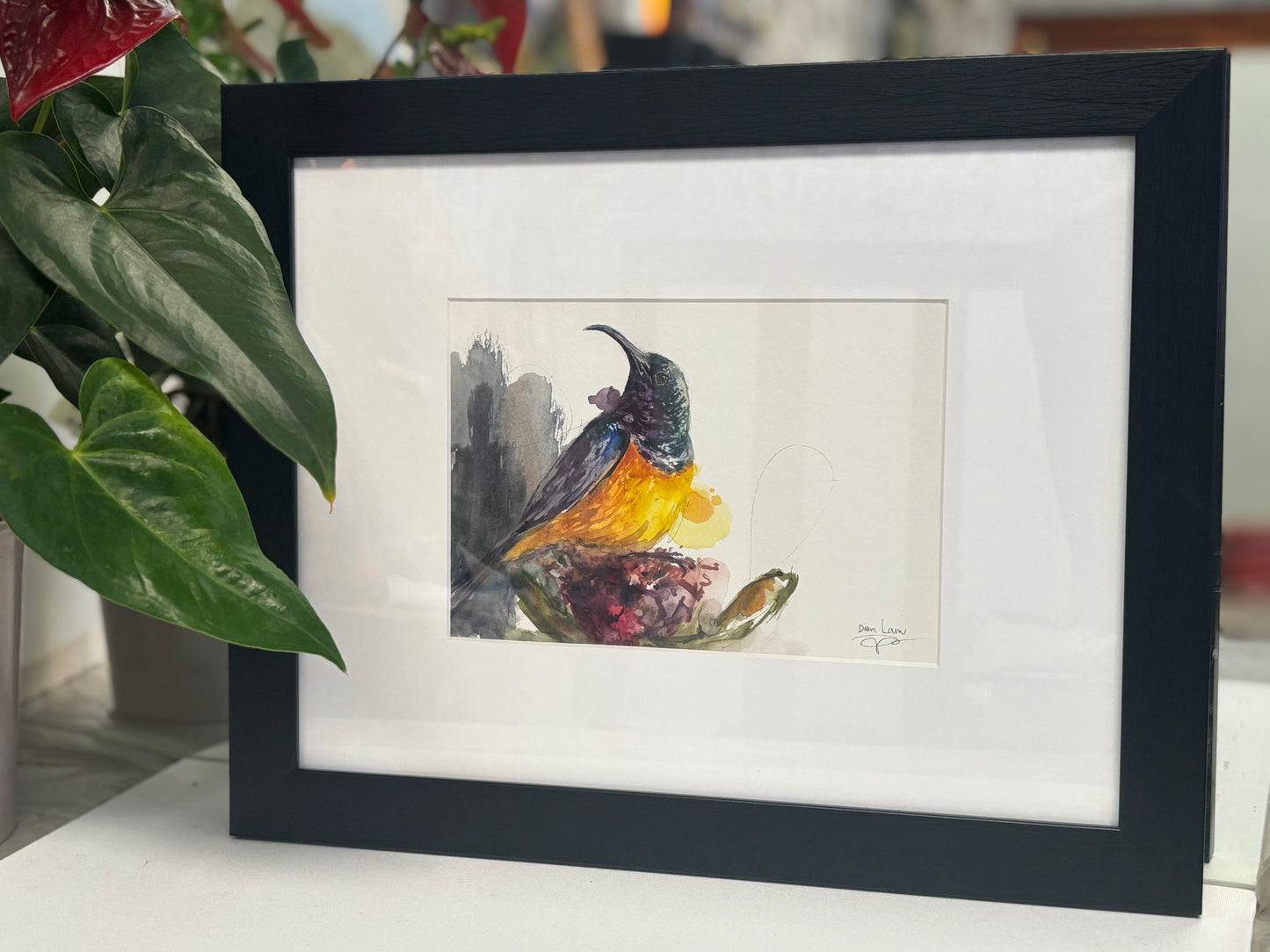 Variable / Yellow-bellied Sunbird watercolour