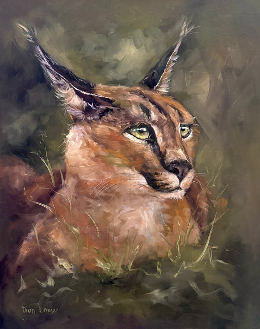 Lurking Caracal (Rooikat)
