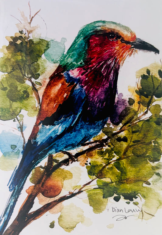 Lilac-breasted Roller #4