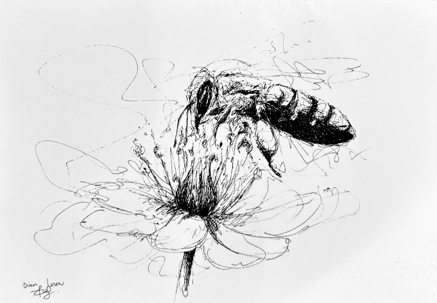 Honey bee and flower, black & white pen sketch