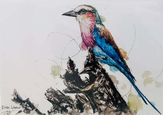 Lilac-breasted Roller on dried wood