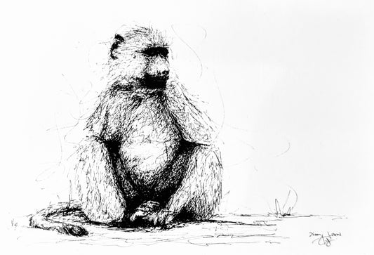 Baboon black & white pen sketch