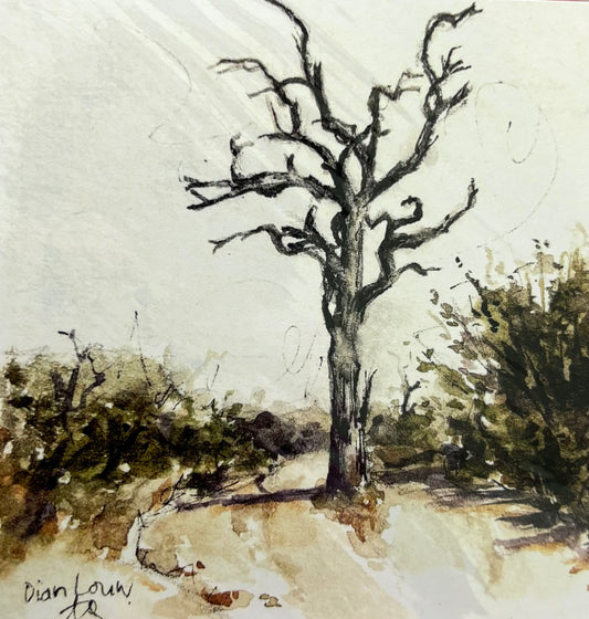 Tree in Kruger National Park