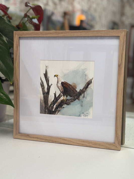 Fish Eagle in watercolour