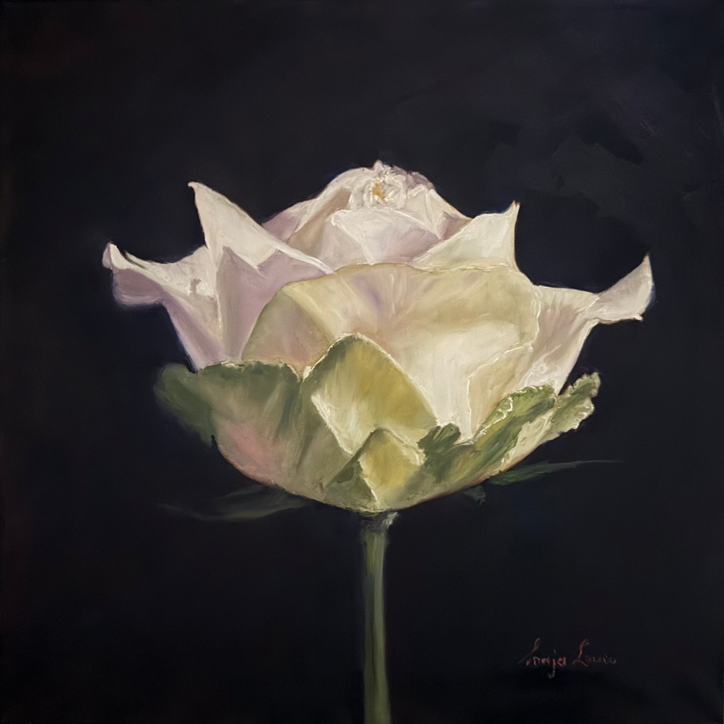 Fleeting Grace