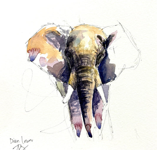 Elephant close-up