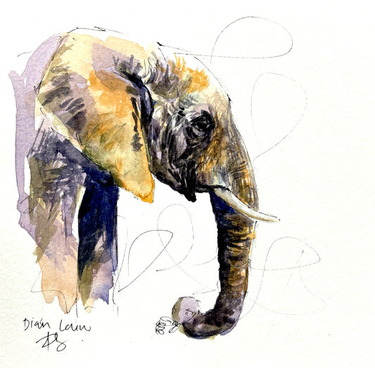 Elephant side profile