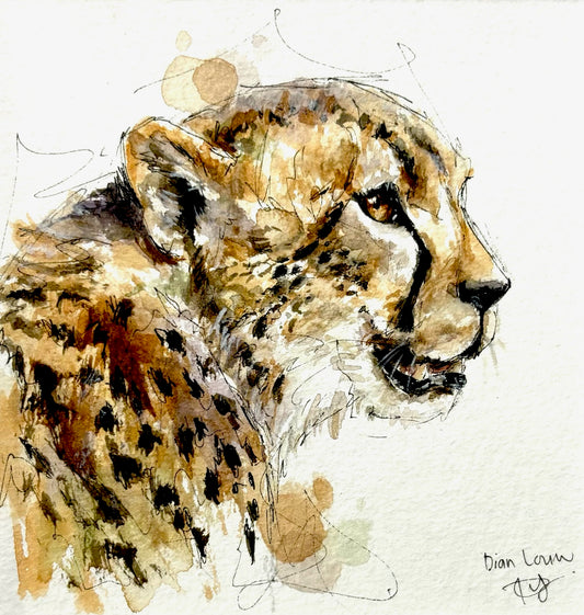 Cheetah #3