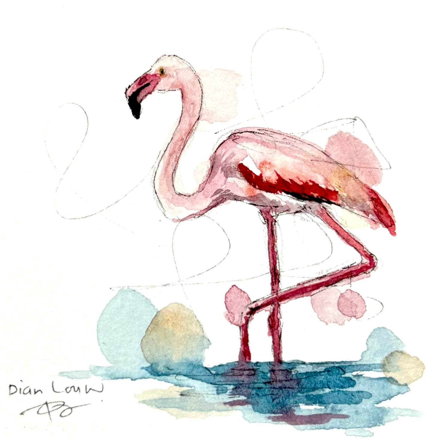 Flamingo