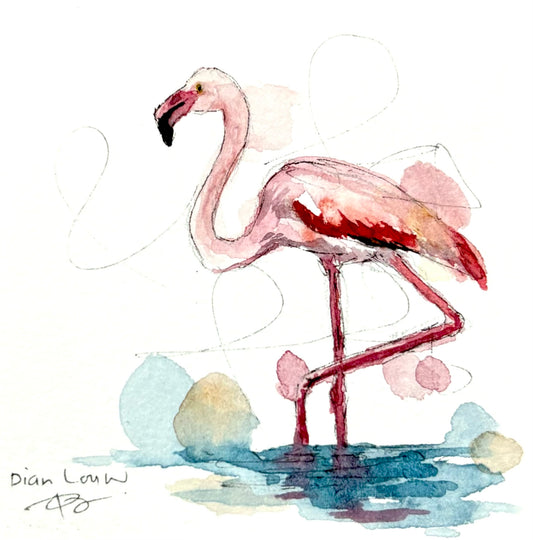 Flamingo