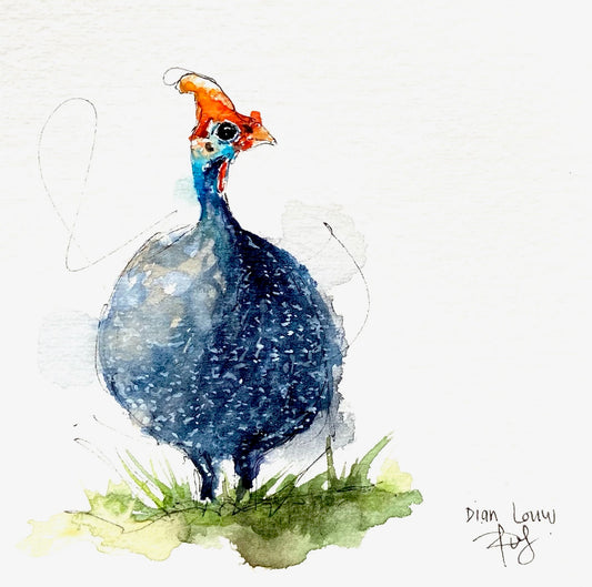 Guinea Fowl (Tarentaal)