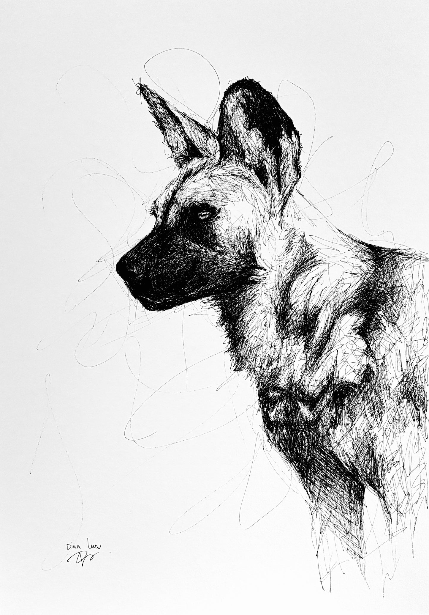 Bespoke Pen sketch (wild dog side profile)