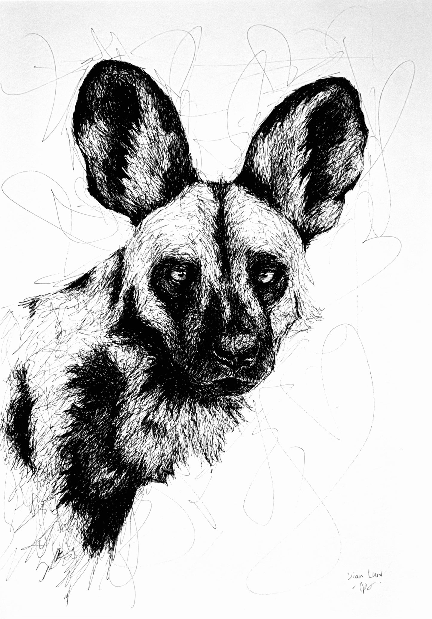 Bespoke Pen sketch (wild dog)