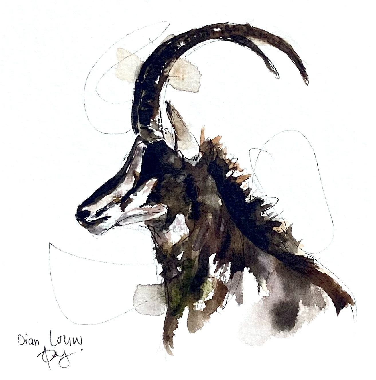 Sable / Swart-wit-pens